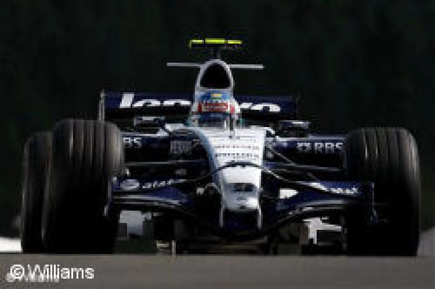 Williams confirms Rosberg and Nakajima