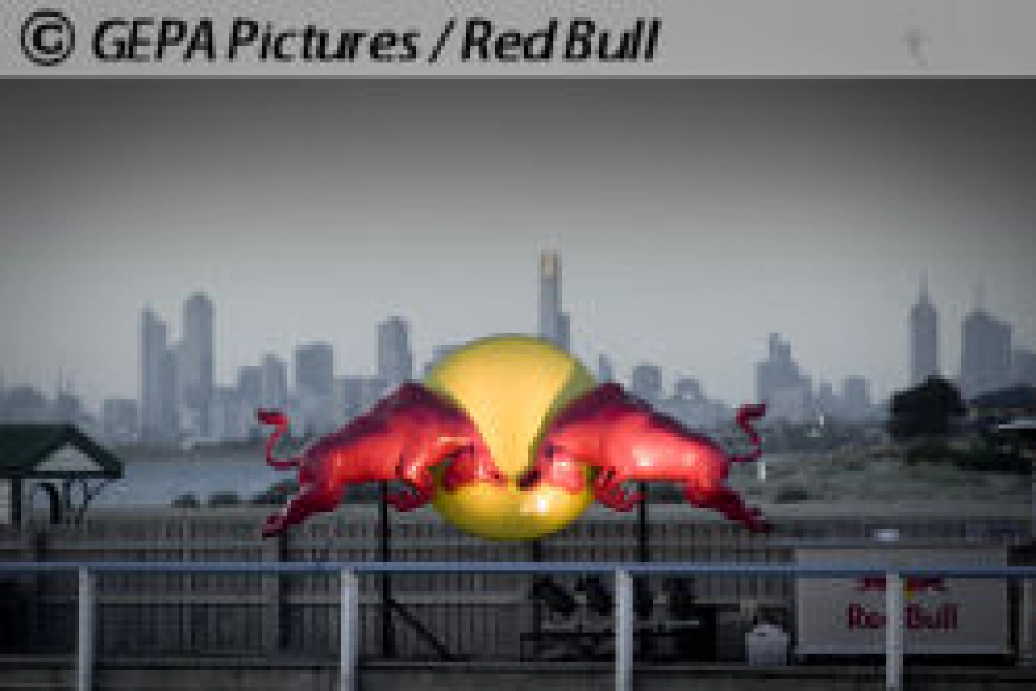 Young Ricciardo aims for the no. 3 driver position at Red Bull