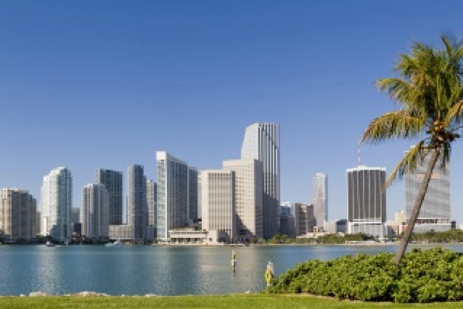 Track layout for the Miami ePrix unveiled