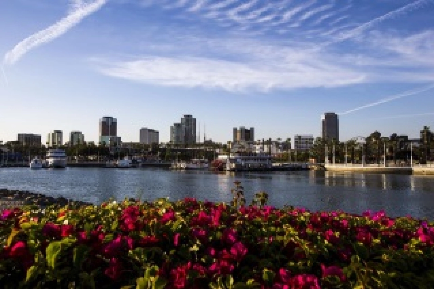 Long Beach ePrix: Circuit Presentation and TV Program