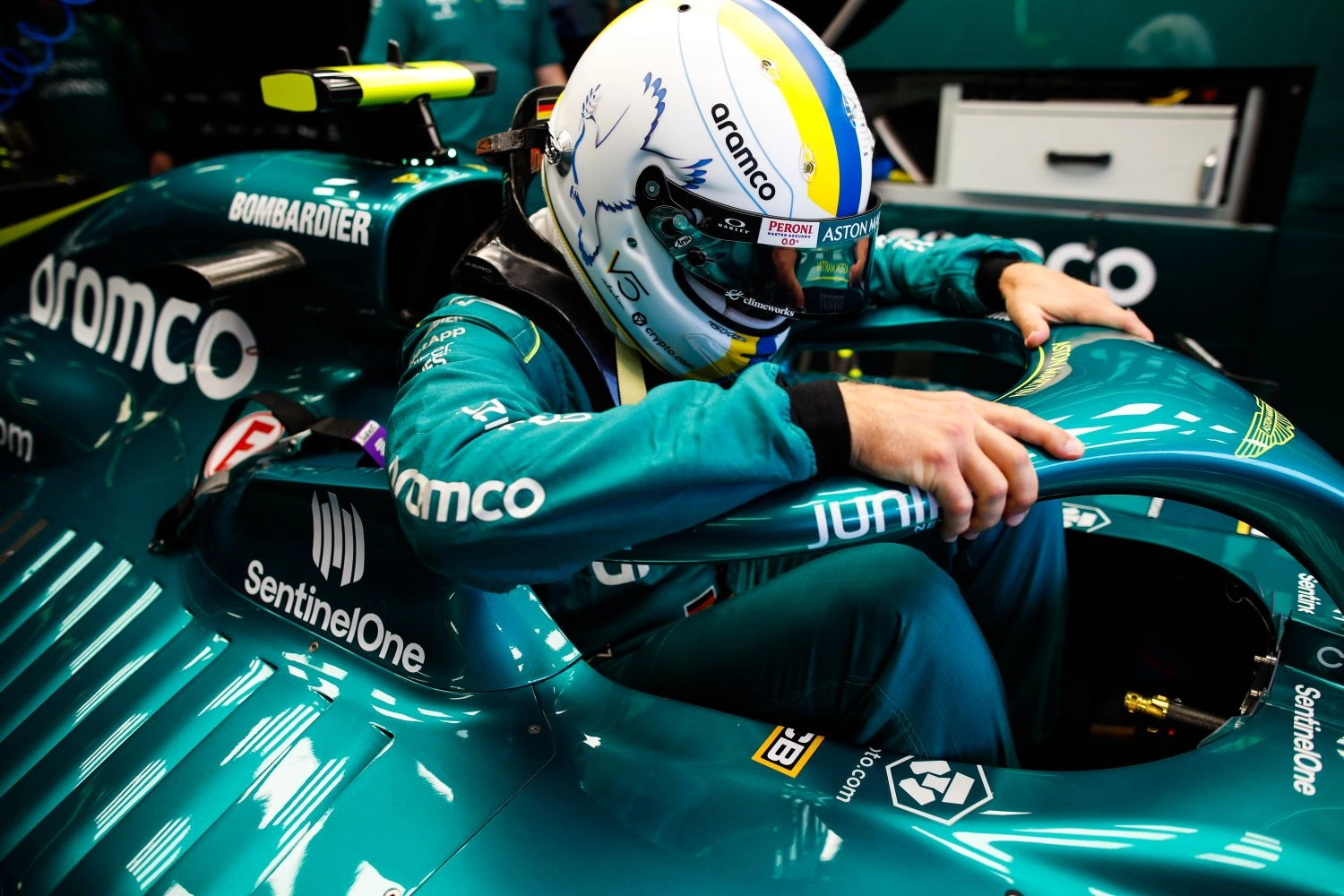 Vettel questions the relevance of his presence in F1