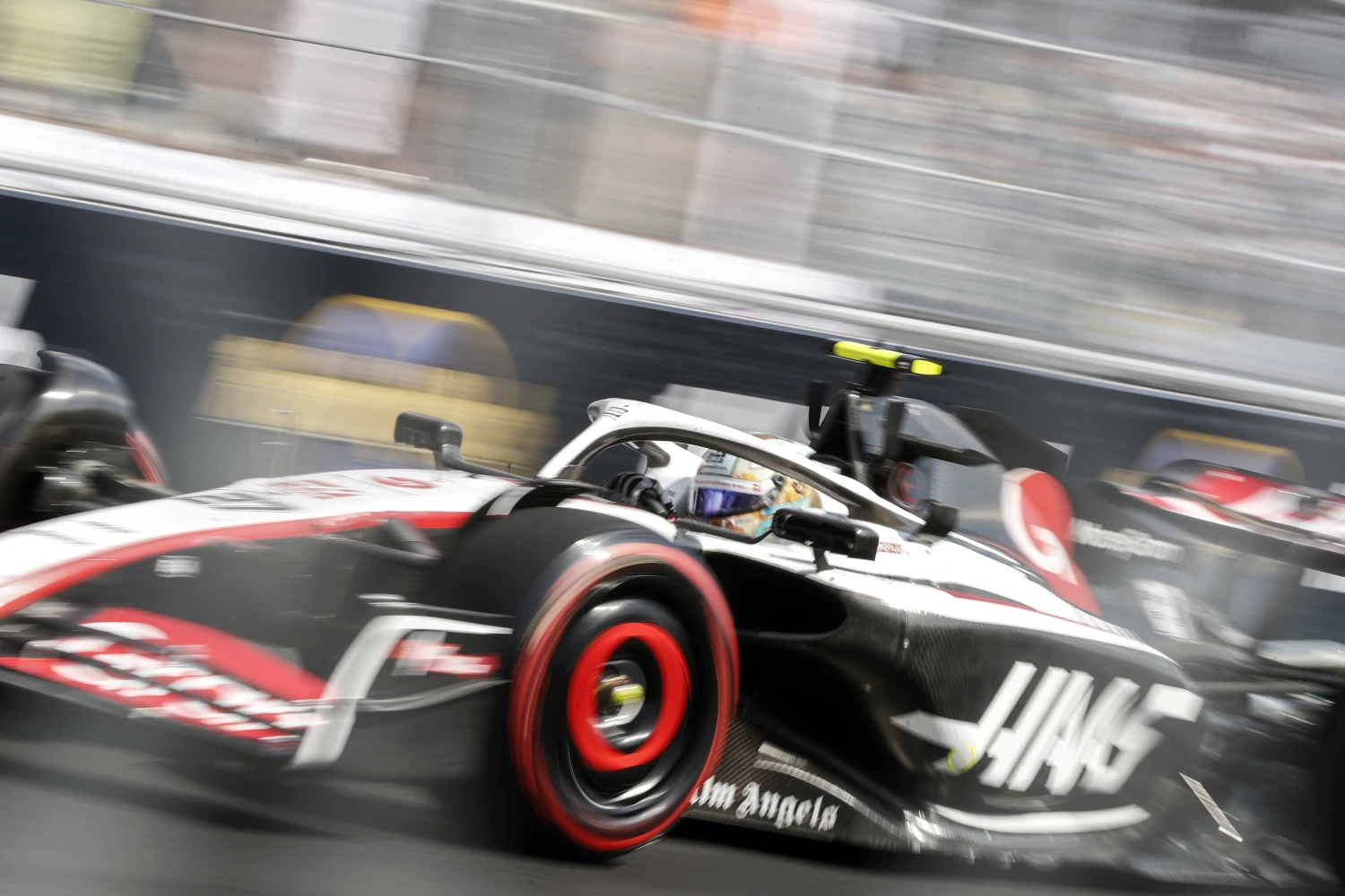 Haas showed up at home