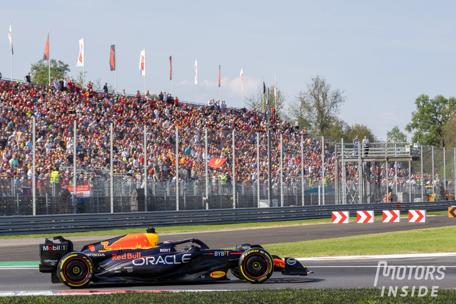 Max Verstappen announces it, the RB20 livery will be exactly the same as last year