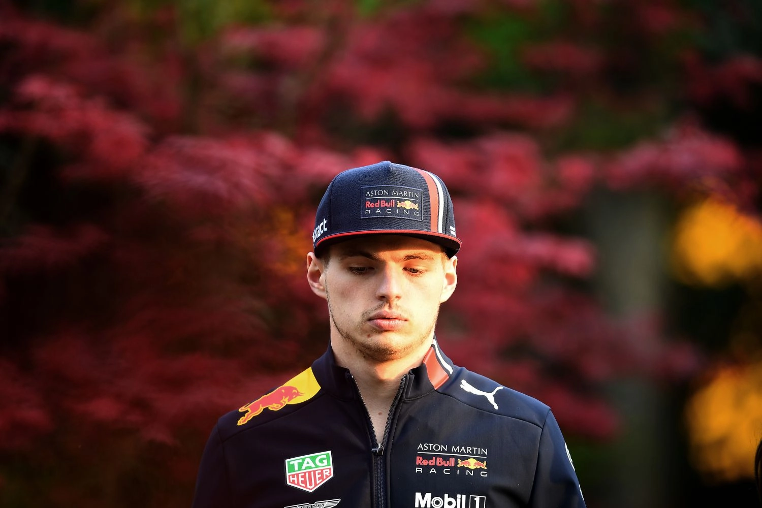 Officiel : Max Verstappen lié avec Red Bull jusqu&rsquo;en 2023