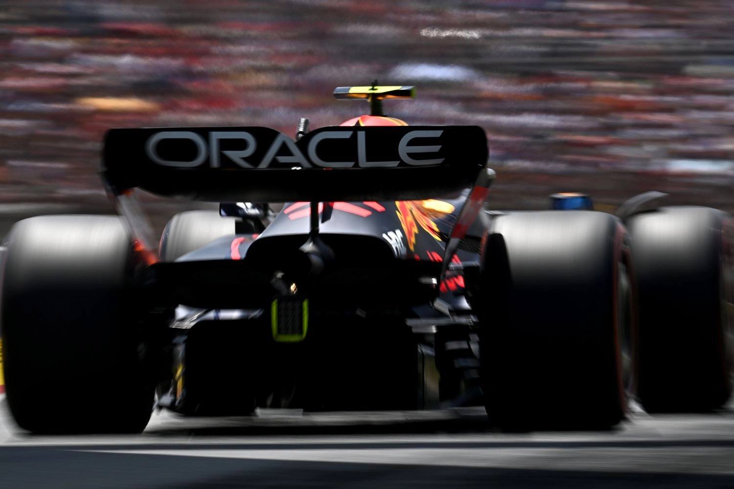 Zane Maloney sera pilote de réserve de Red Bull pour 2023